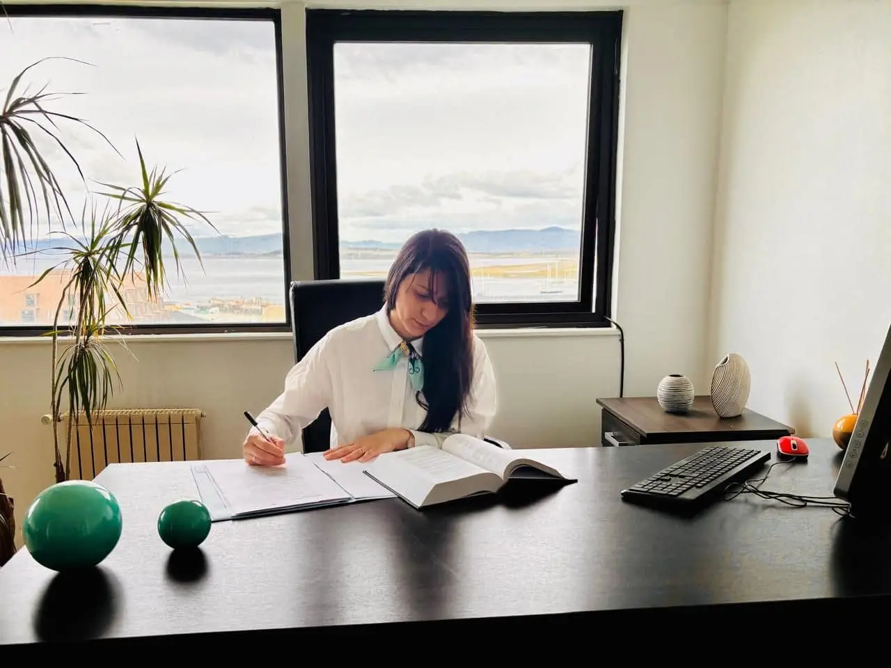 Abogada de LegalMente trabajando en la oficina del estudio en Ushuaia, con vista al Canal Beagle